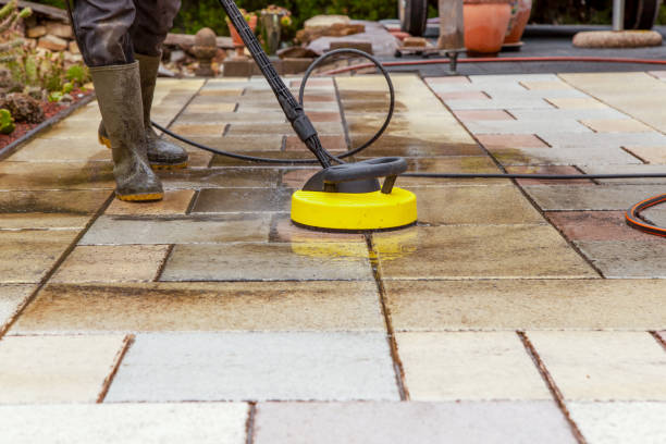 Best Roof Cleaning and Mildew Removal in Carthage, IL