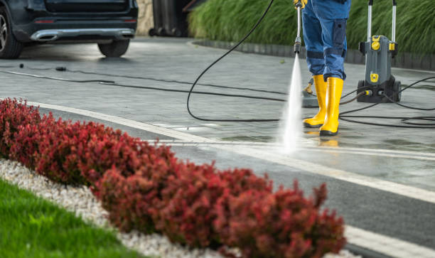 Trusted Carthage, IL Pressure Washing Services Experts